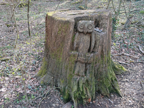 Carved Owl